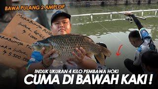 GAK NYANGKA BABON ADA DI BAWAH KAKI !! DAPET AMPLOP TERUS KALO PAKE UMPAN INI || Am#486