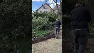 #36Edging garden beds ASMR. #asmr #gardening #landscaping #shorts