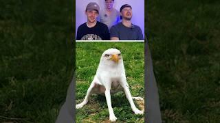 Don't Laugh  | 70