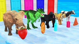 Choose The Right Mystery Door Challenge with Gorilla Cow Elephant Tiger Dinosaur Mystery Door Game