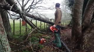 Chainsaw Madness