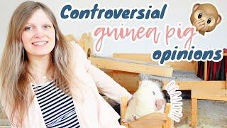 My Controversial Guinea Pig Opinions