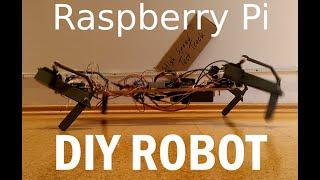 DIY Raspberry Pi 3D printed quadruped robot dog: introduction and first tests