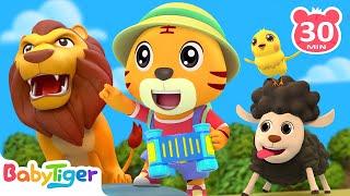 Go Hiking With Your Animal Friends!+ More Animal Songs & Nursery Rhymes | Animal For Kid - BabyTiger