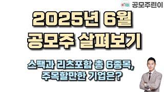 [공모주] 2025년 6월 공모주 살펴보기 - 스팩과 리츠포함 총 6종목, 주목할만한 기업은?