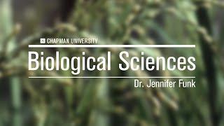 Dr. Jennifer Funk - Biological Sciences, Chapman University