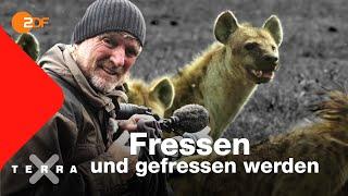 Kreislauf des Lebens? | Andreas Kieling | Ganze Folge | Terra X