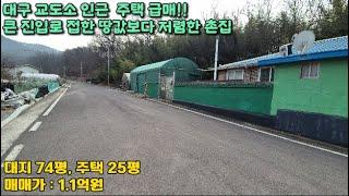 하빈 대구교도소 인근 5미터 도로접한 감문리 주택 급매물! 74평 건25평 1.1억