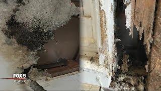 I-Team: 'Newly-renovated' House Turns Out To Be Mold House