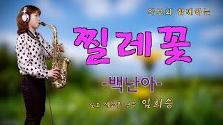 '찔레꽃'-백난아 [악보와 함께하는] - Alto Saxophone 임희승 색소폰 연주