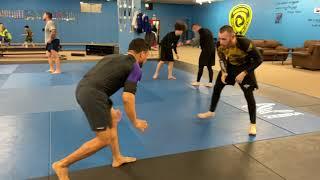 BJJ Light Round 143 (Purple Belt vs Purple Belt)