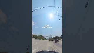 (1분휴식)시골길 드라이브 #1분힐링 #1분 드라이브