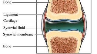 USMLE: Medical Video Lectures about Synovial Fluid Analysis by UsmleTeam