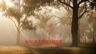 Relaxing Music || Sunrise || RK Dampanaboyina