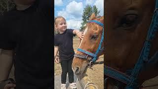 Ниже стремени, Ростовская область / Below the stirrup, Rostov region