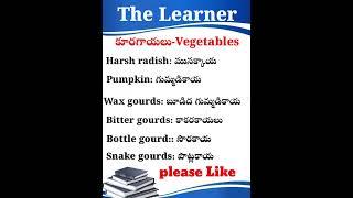 LEARN Spoken English Easily in Telugu!