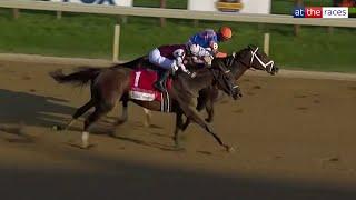 What a race! FIERCENESS defeats Thorpedo Anna in thrilling Travers Stakes!