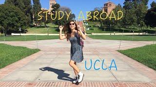 What to expect when studying abroad at UCLA (UK student)