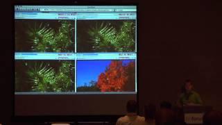 Display Remoting in a Mobile World - BriForum 2012 Chicago