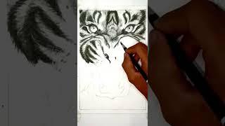 ️ Realistic Pencil ArT️#tiger #art #pencildrawing #youtubeshorts #shorts