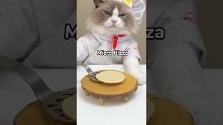 Puff wants to know, yes or no to pineapples on pizza? #thatlittlepuff #cooking #pizza #pineapple