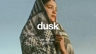 (FREE) | "Dusk" | Burna Boy x Swae Lee x Rema Beat | Free Beat | Dancehall Instrumental 2024