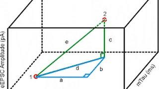 Euclidean Distance & Manhattan Distance