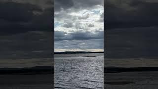 #море #мурманскаяобласть #кандалакша #залив #россия #russia #travel #beautifulnatureshorts
