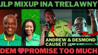 JLP🟢TRELAWNY Mix up. ANDREW & DESMOND Promise the People them & DONT DELIVER. DEM TELL 2 MUCH L!ES