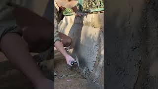 Rendering Concrete Wall #diy #diwhy #australia #renovation #oddlysatisfying #loveyourmisso