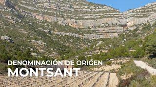 Spanish Wine Regions: Montsant