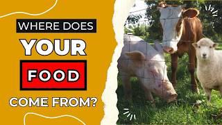 Do You Know Where Your Food Comes From? | Acme Acres: All-American Idaho Beef