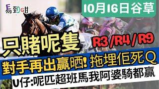 【賽馬易到咁】(10月16日) 只賭呢隻馬！上場對手贏晒，今鋪輪到佢｜賽馬貼士｜過關｜谷草