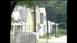 WAVY Archive: 1982 Chesapeake P.L. Artis Properties