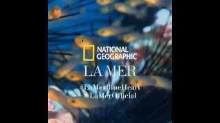 How To Help the Ocean: Recycle  | La Mer x National Geographic