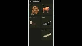 AR Animal Identification