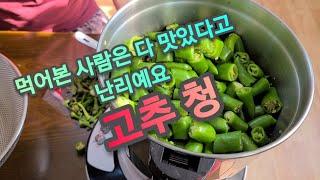 30년 이상 한식 맛집 사장님이 알려주신 고추청! 황금레시피!