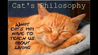 Cat's Philosophy - What cats may have to teach us about living