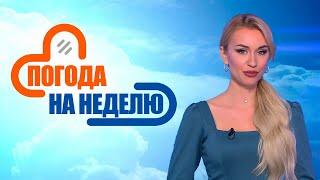 Заморозки и кратковременные дожди! | Погода в Беларуси с 13 по 19 октября | Плюс-минус