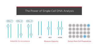 Mission Bio Tapestri Platform for Single-Cell Sequencing & Analysis from TechEdge