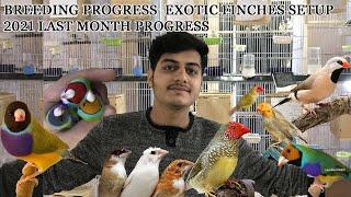 Breeding Progress Complete Setup || 20-12-21 || Exotic Finches Farm