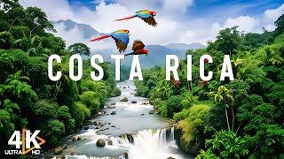 Costa Rica Rainforest 4K - Happiest Country On Earth With Exotic Wildlife - Travel Video