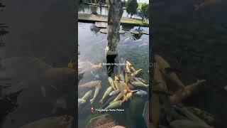 TIRTA GANGGA || BALI INSTAGRAM TOUR