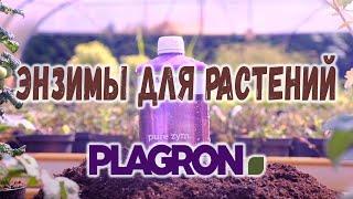 Улучшитель почвы Энзимы Plagron Pure Zym