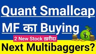 Quant Smallcap MF का Recent Buying2 New Stock ख़रीदाQuant September Factsheet Guide To Investing