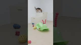 Lab life behind the lens ep4 #AnimalResearch #AnimalTesting #LabLife  #Science