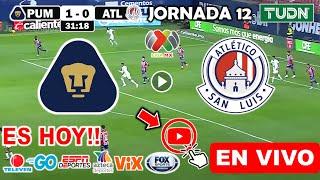 Pumas vs. San Luis en vivo, donde ver, a que hora juega Pumas vs. San Luis Jornada 12 Liga MX 2024