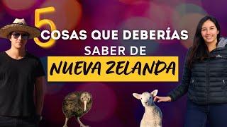 5 cosas que deberías saber sobre Nueva Zelanda antes de viajar