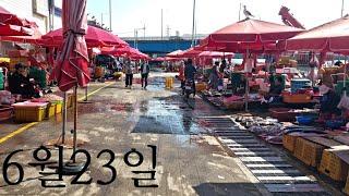 6월23일 오늘 아침 9시 소래포구 난전어시장 수산물 Soraepogu (Nanjeon Fish Market) seafood market in Korea