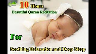 10 Hours Quran Recitation | 10 Hours Quran Recitation to Relax and Sleep | عشر ساعات من تلاوة القرآن